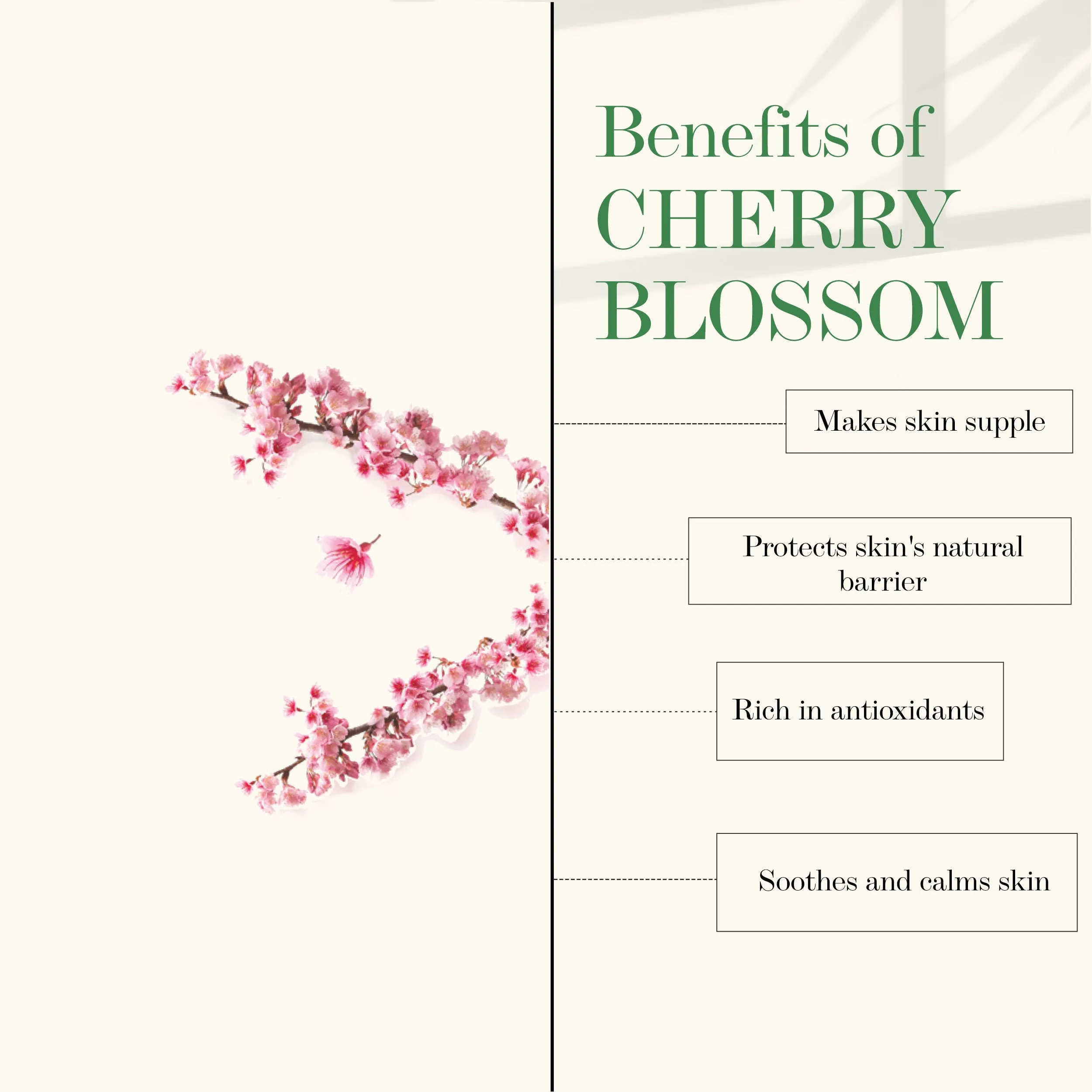 Cherry Blossom Softening Hand Cream