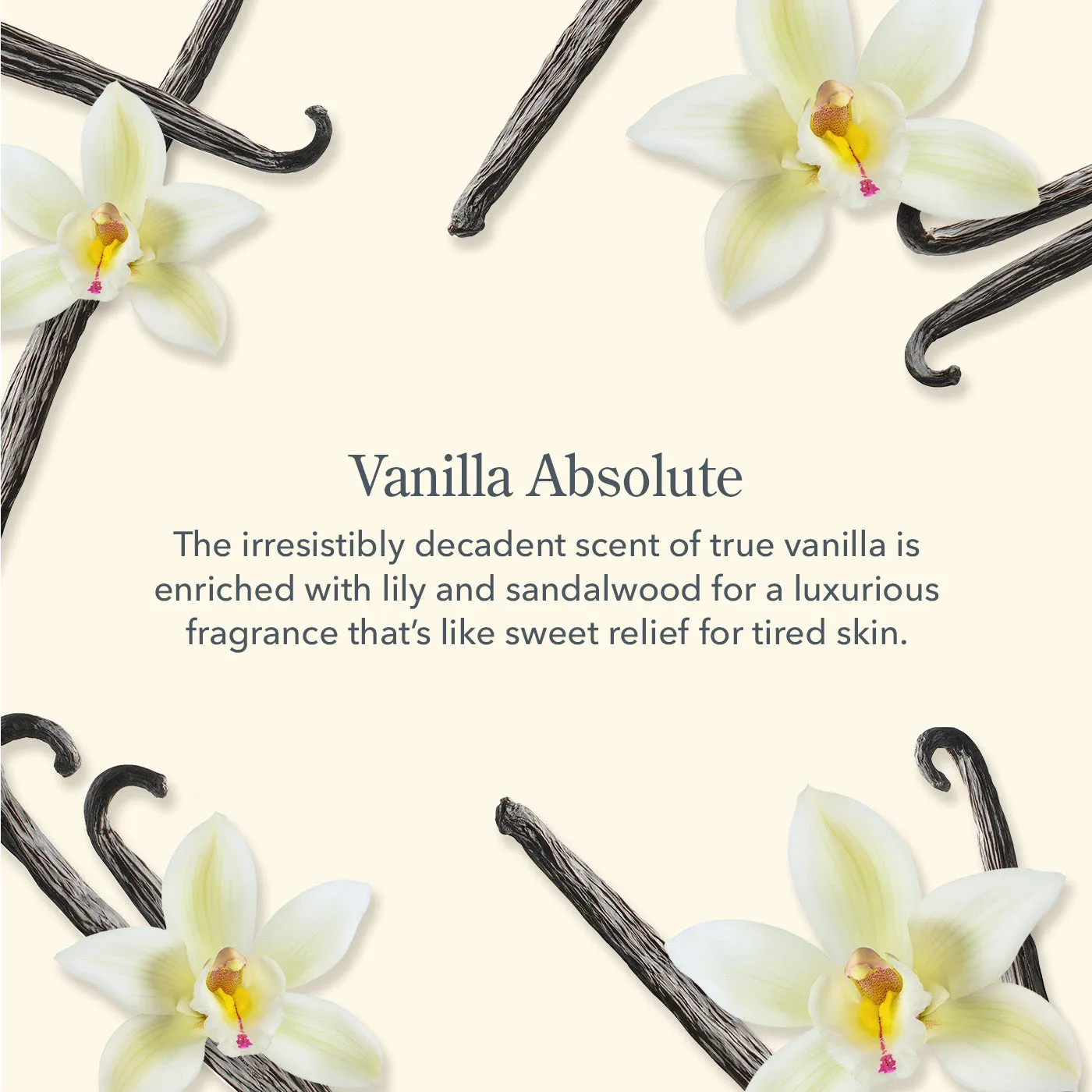 Vanilla Absolute Hand Cream Set of 3